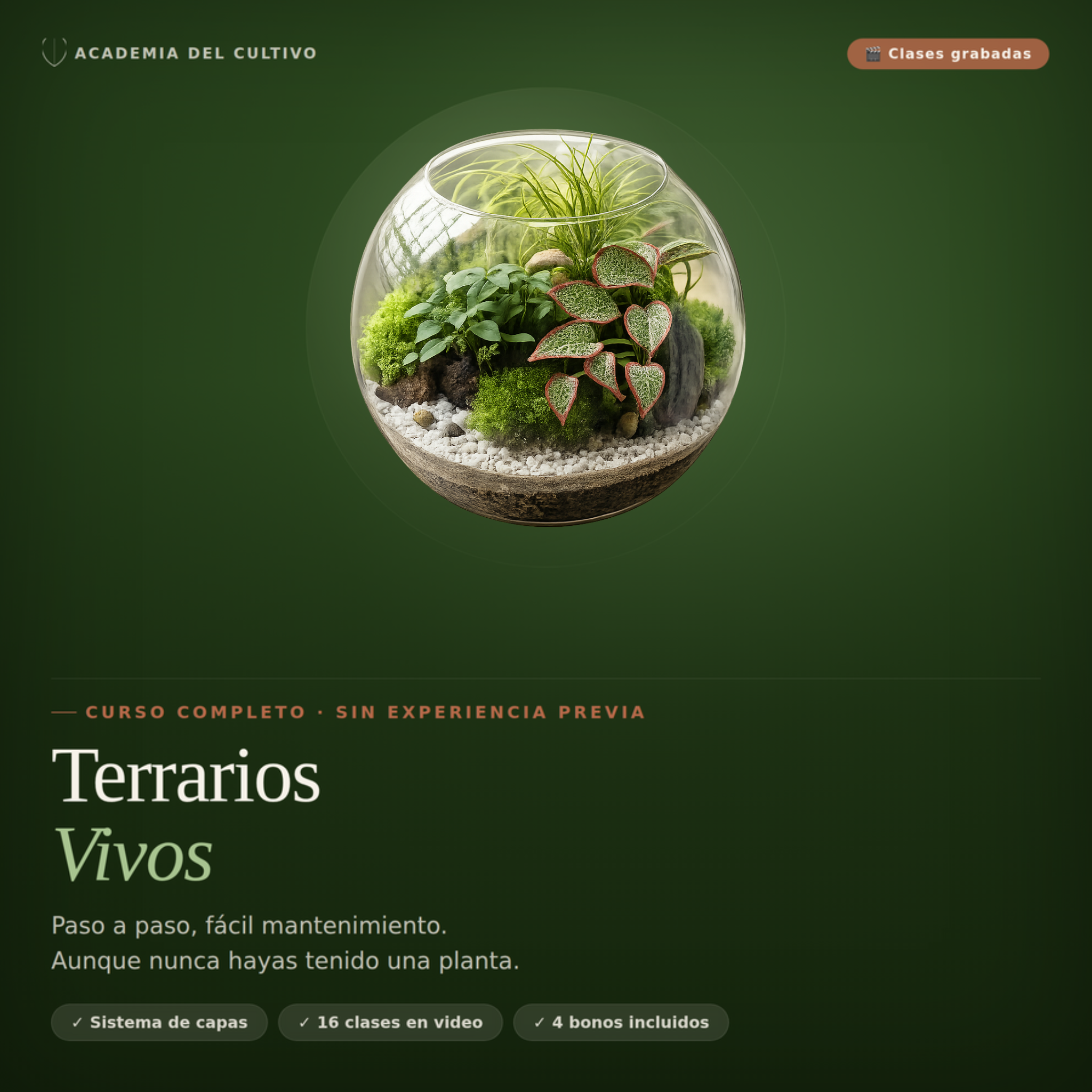 Terrarios y Arte Vegetal — Edición Principiantes