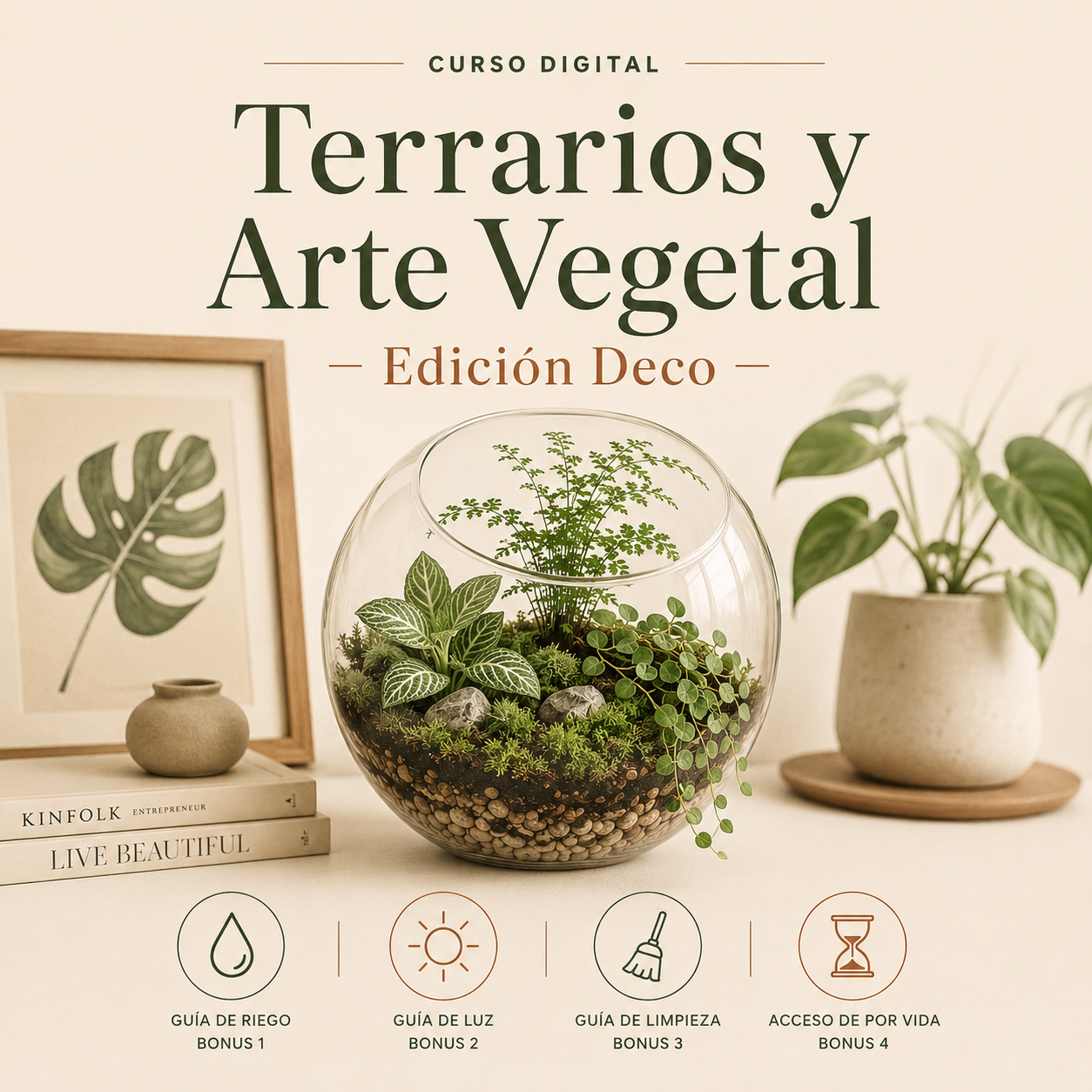 Terrarios y Arte Vegetal — Edición Deco
